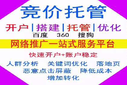 成功企业SEM竞价代运营案例研究