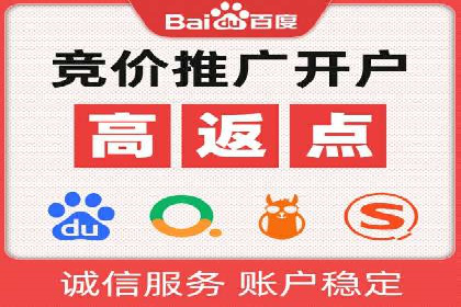 Sem优化公司案例：精准广告投放策略解析